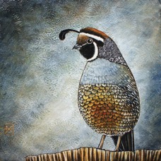 quail-web.jpg