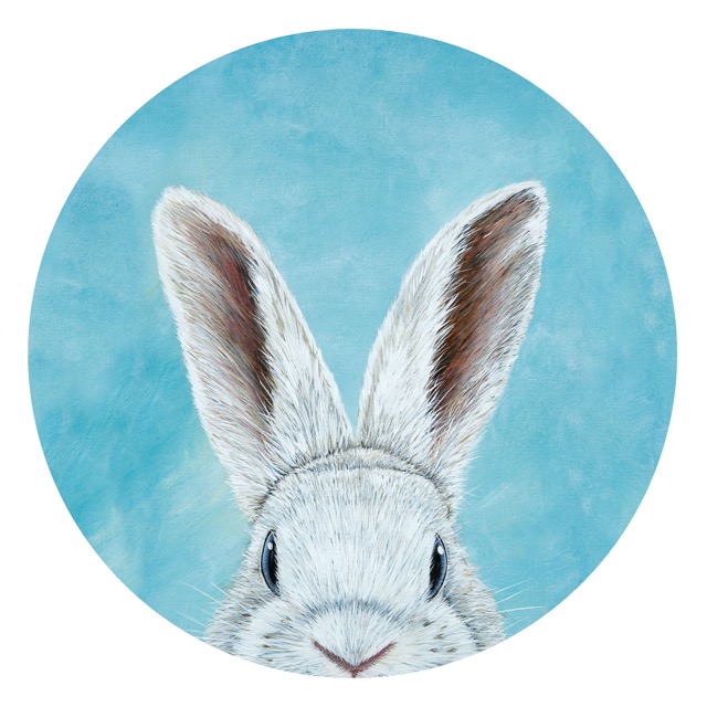 'White Wabbit'