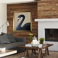 BlackSwan-in-situ.jpg