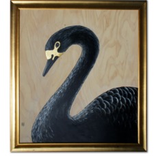 Black-Swan-lr.jpg